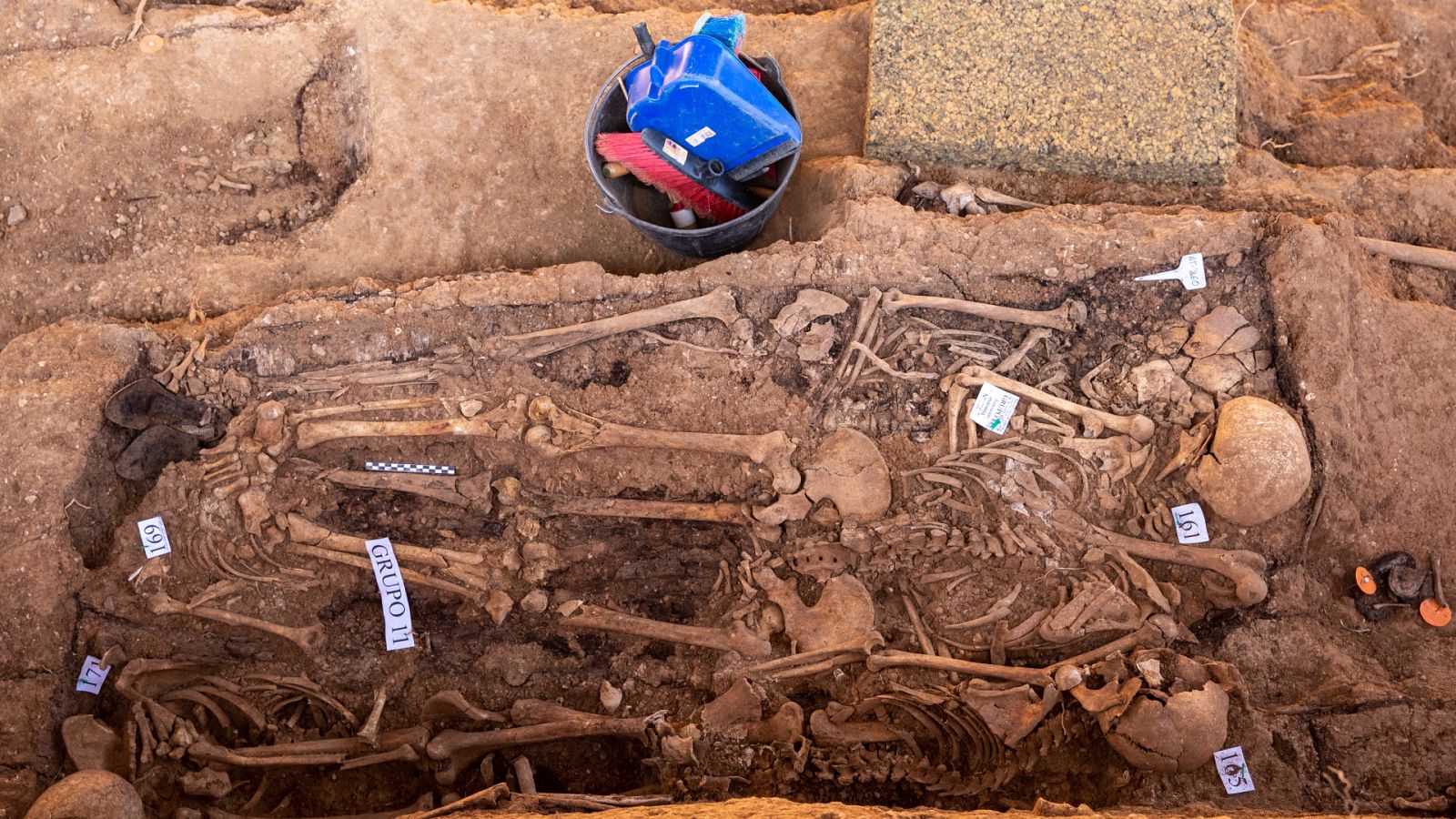 Fosa Pico Reja. 1.800 represaliados sin identificar en el Cementerio de San Fernando