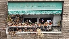 Las flores marchitas de la pandemia