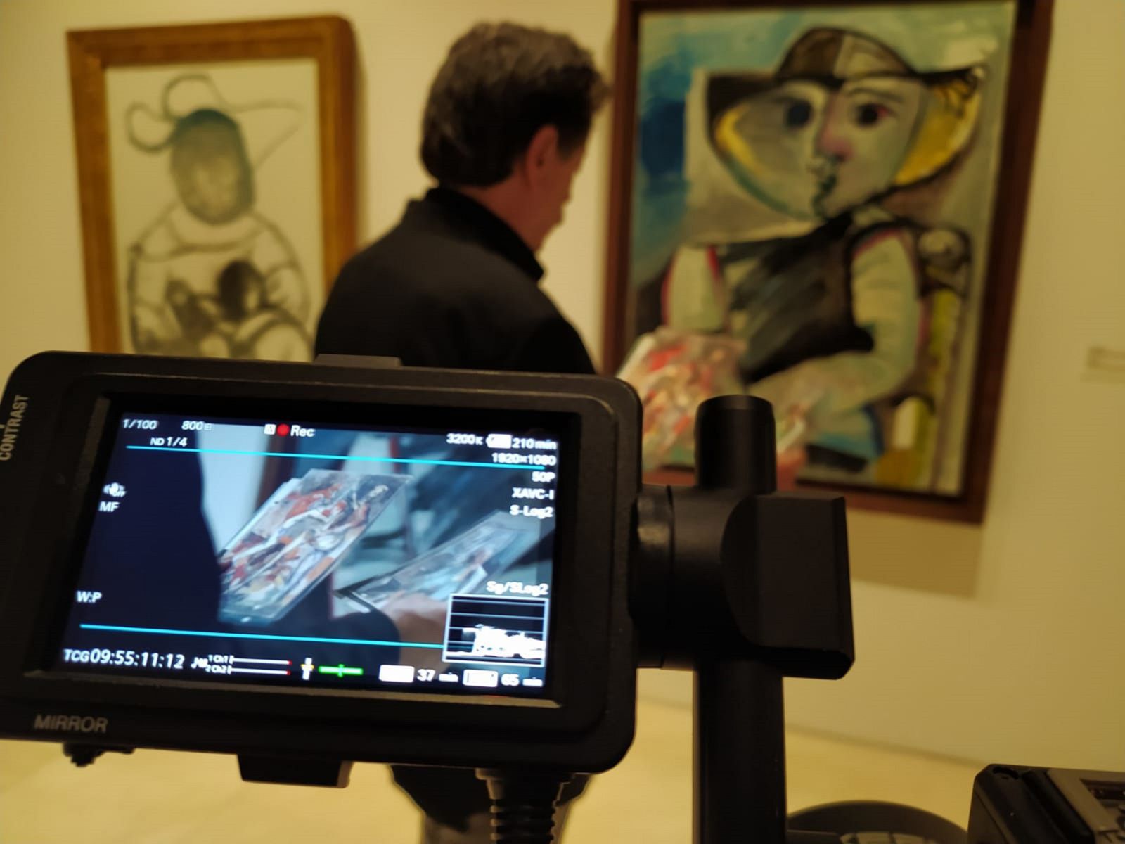 Picachu: la venta fraudulenta de Picassos