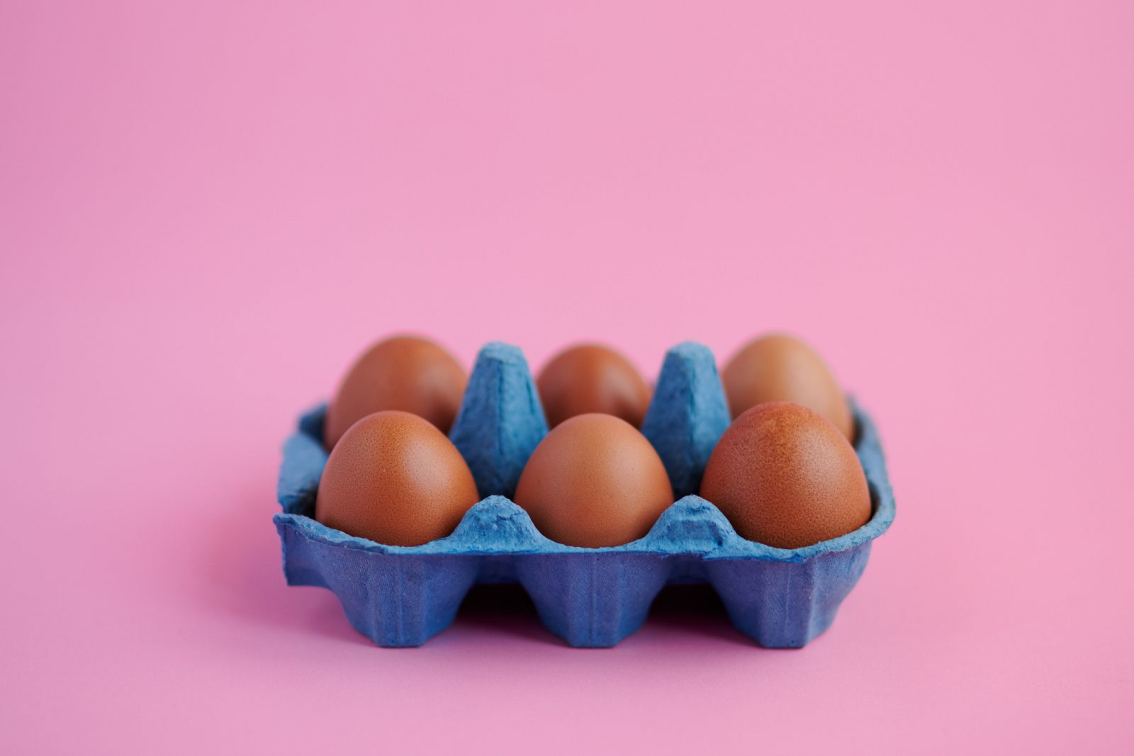 Ladrón de huevos foodbait