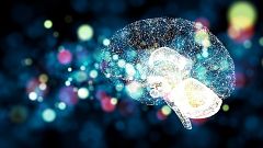 Investigadores españoles logran transformar células en neuronas capaces de reparar daños visuales