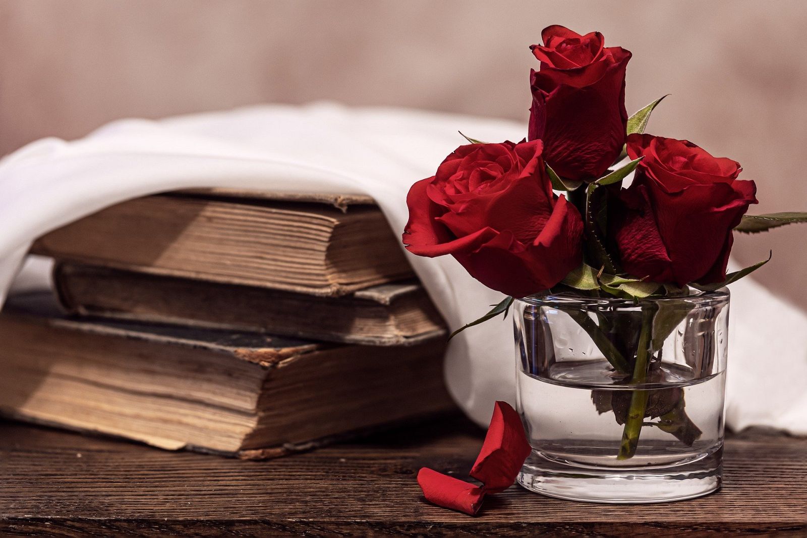 Diada de Sant Jordi: llibres i roses
