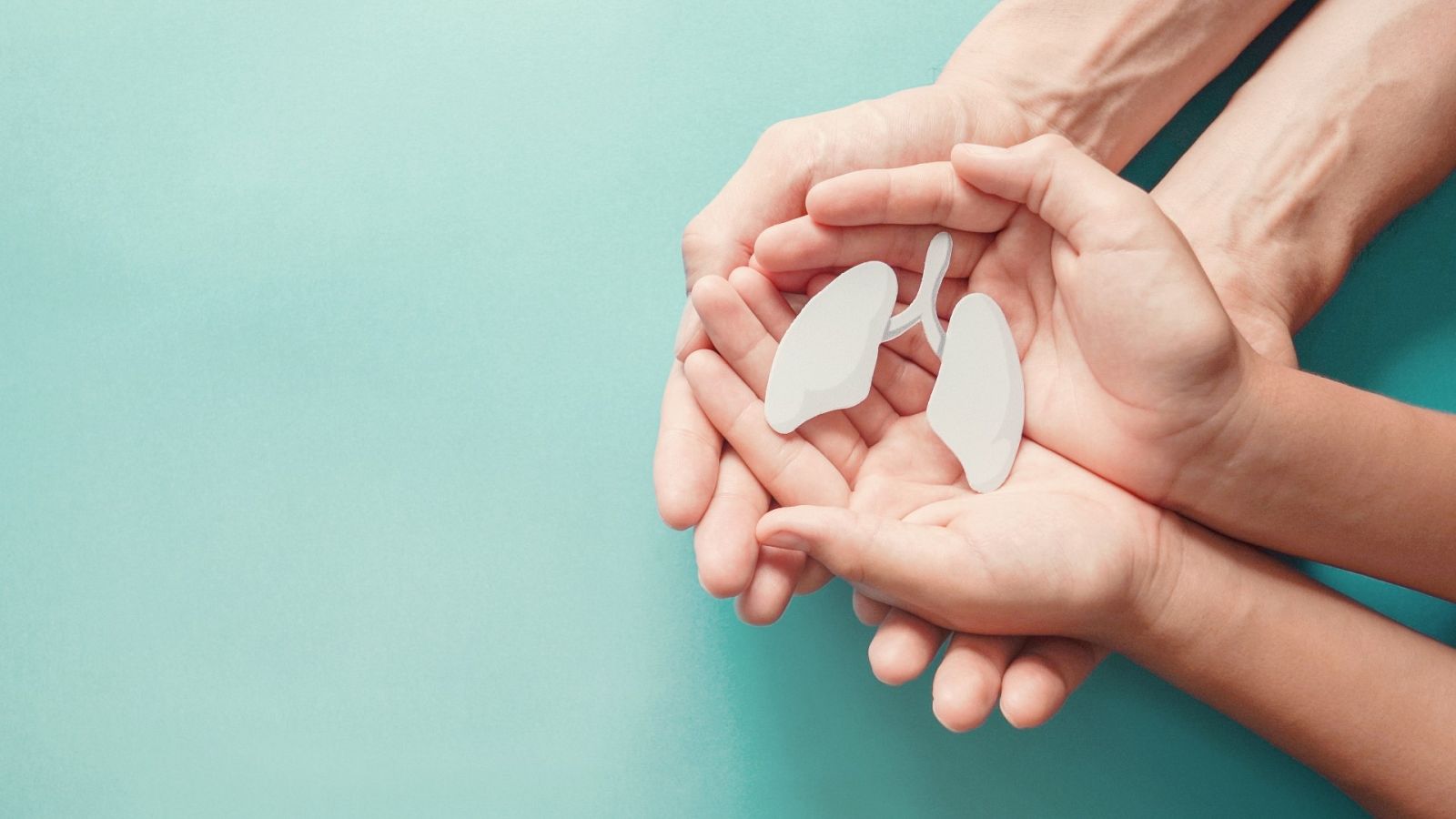 Dos personas sostienen la réplica de un pulmón entre las manos.