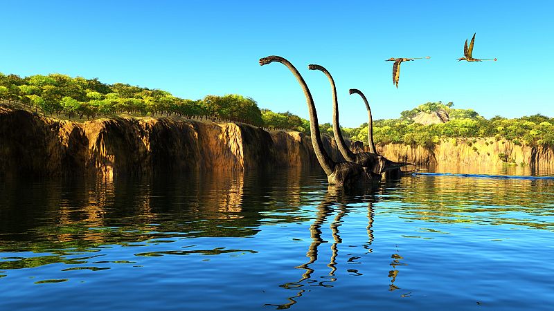 Un ave gigante convivi� con los �ltimos dinosaurios de Europa antes de la gran extinci�n