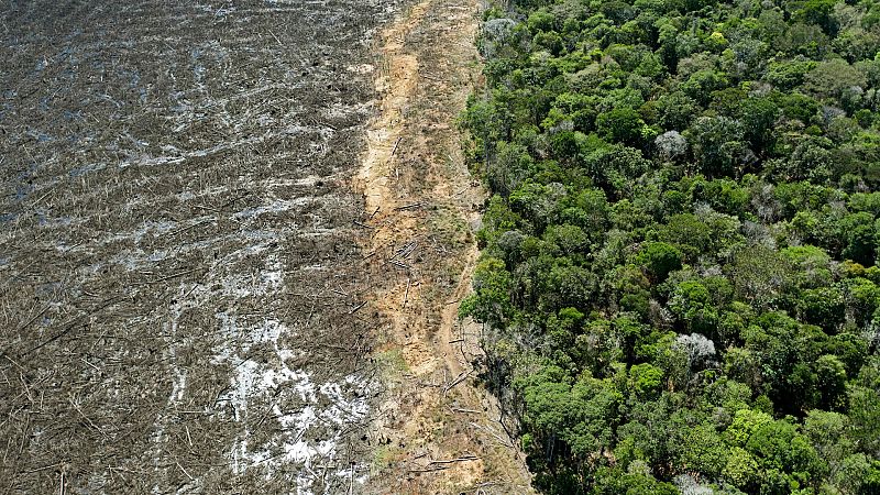 La Amazonía brasileña bate su récord histórico de deforestación en abril tras perder más de 580 km de selva
