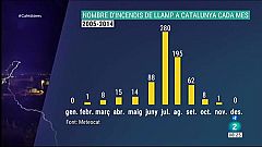 Els llamps són la quarta causa d'incendis forestals a Catalunya