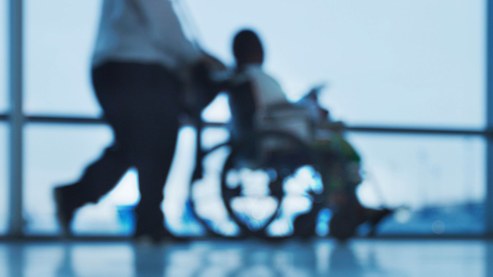 El nuevo artículo 49 sustituye el término "disminuidos" por el de "personas con discapacidad"