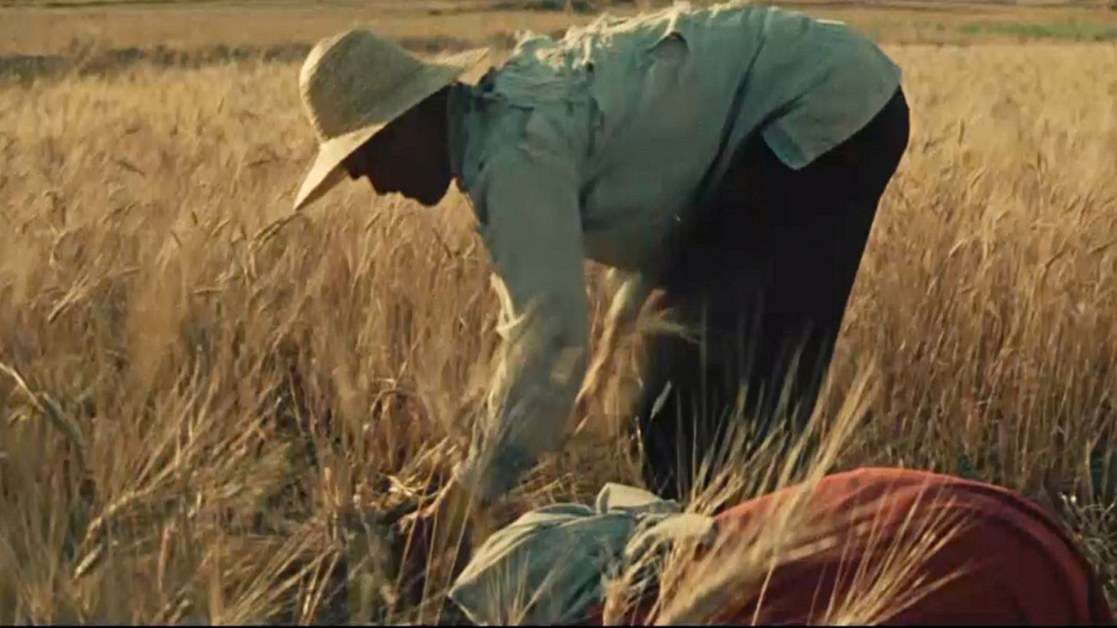 El gluten, el enemigo público número 1