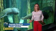 ¿Cómo superar el miedo a hablar en público?