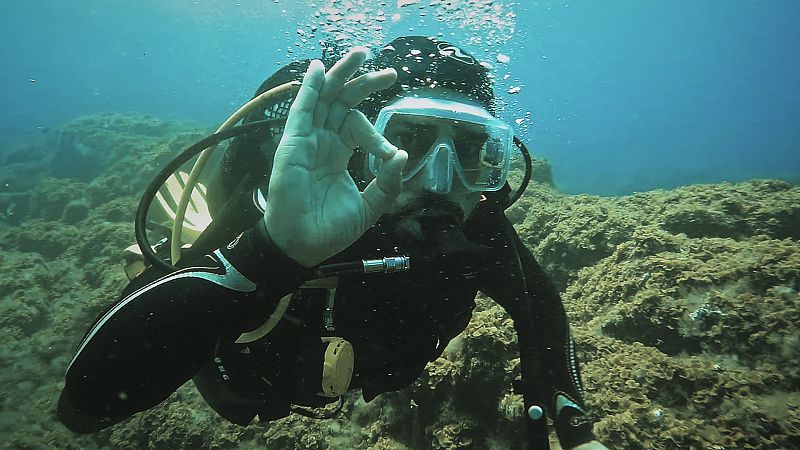 Por qu nos debe preocupar la prdida de coral?