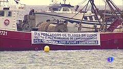 El sector pesquer del Mediterrani es queda a port