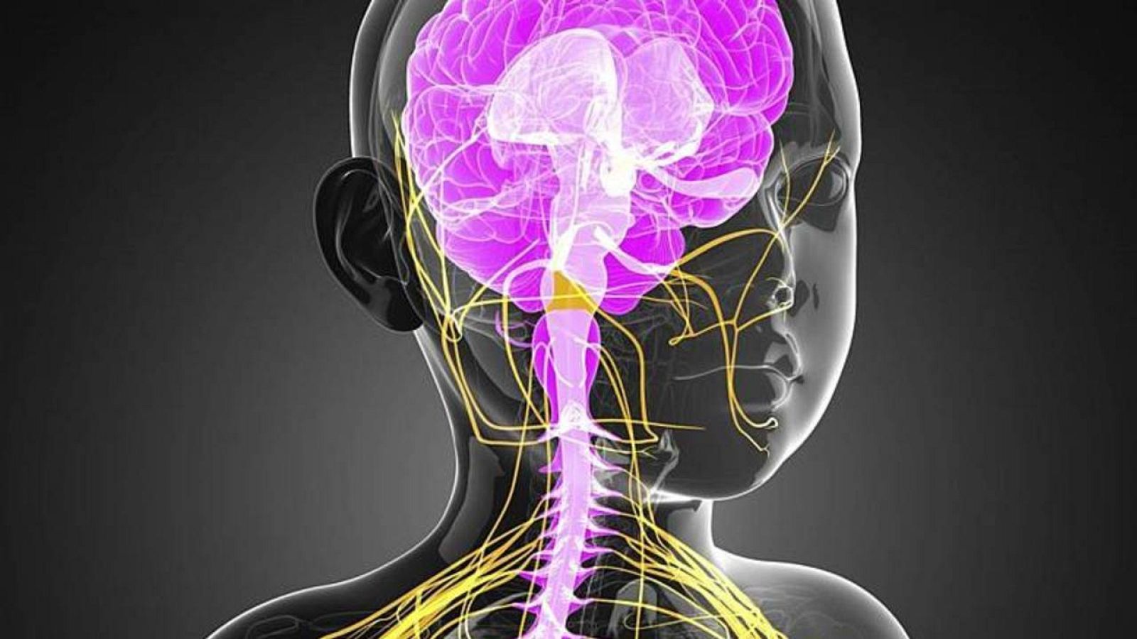 Un estudi amb més de 700.000 pacients permet establir l'edat d'inici dels diferents trastorns mentals
