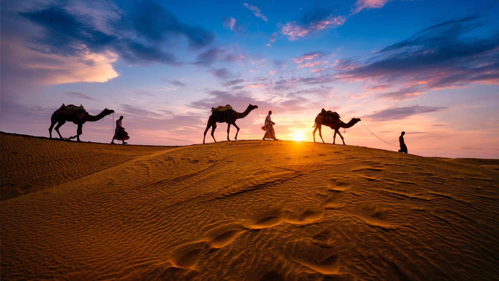 Conductores de camellos a contraluz