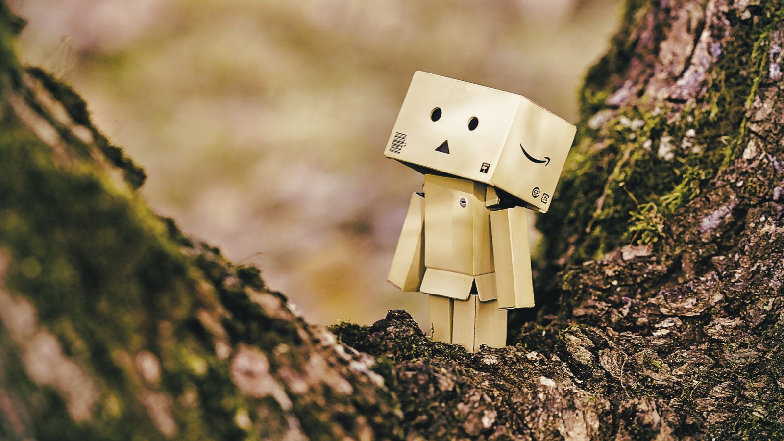 El debate de Amazon Reino Unido: ¿a dónde van los productos devueltos?