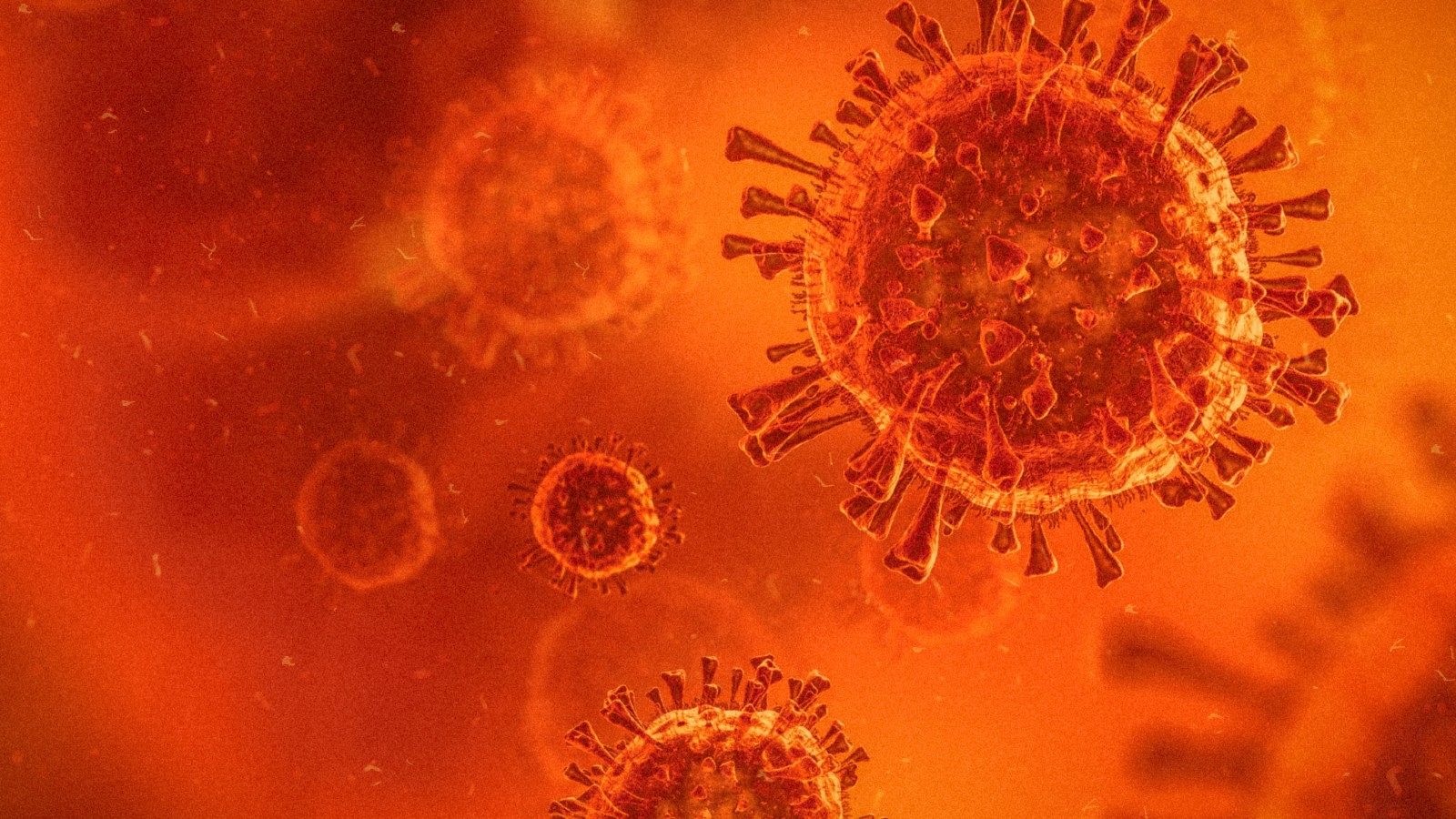 Los virus más peligrosos de la humanidad