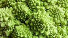Desvelada la singular estructura geométrica de la coliflor romanesco