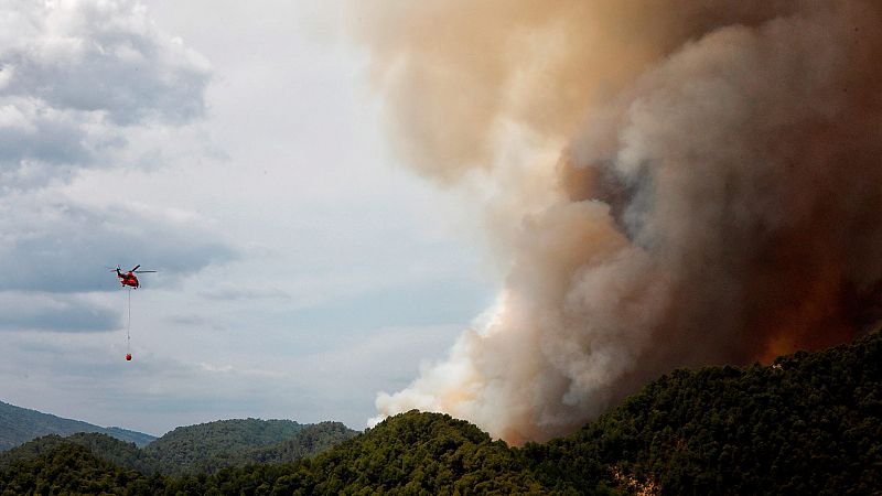 Logran controlar el incendio declarado en Tarragona mientras contin�an las labores de extinci�n en Albacete