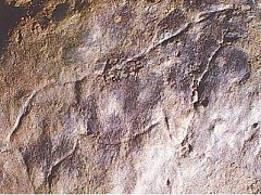 ¿Eran los neandertales capaces de pintar? Un nuevo estudio dice que sí