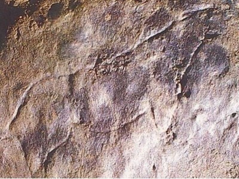¿Eran los neandertales capaces de pintar? Un nuevo estudio dice que sí
