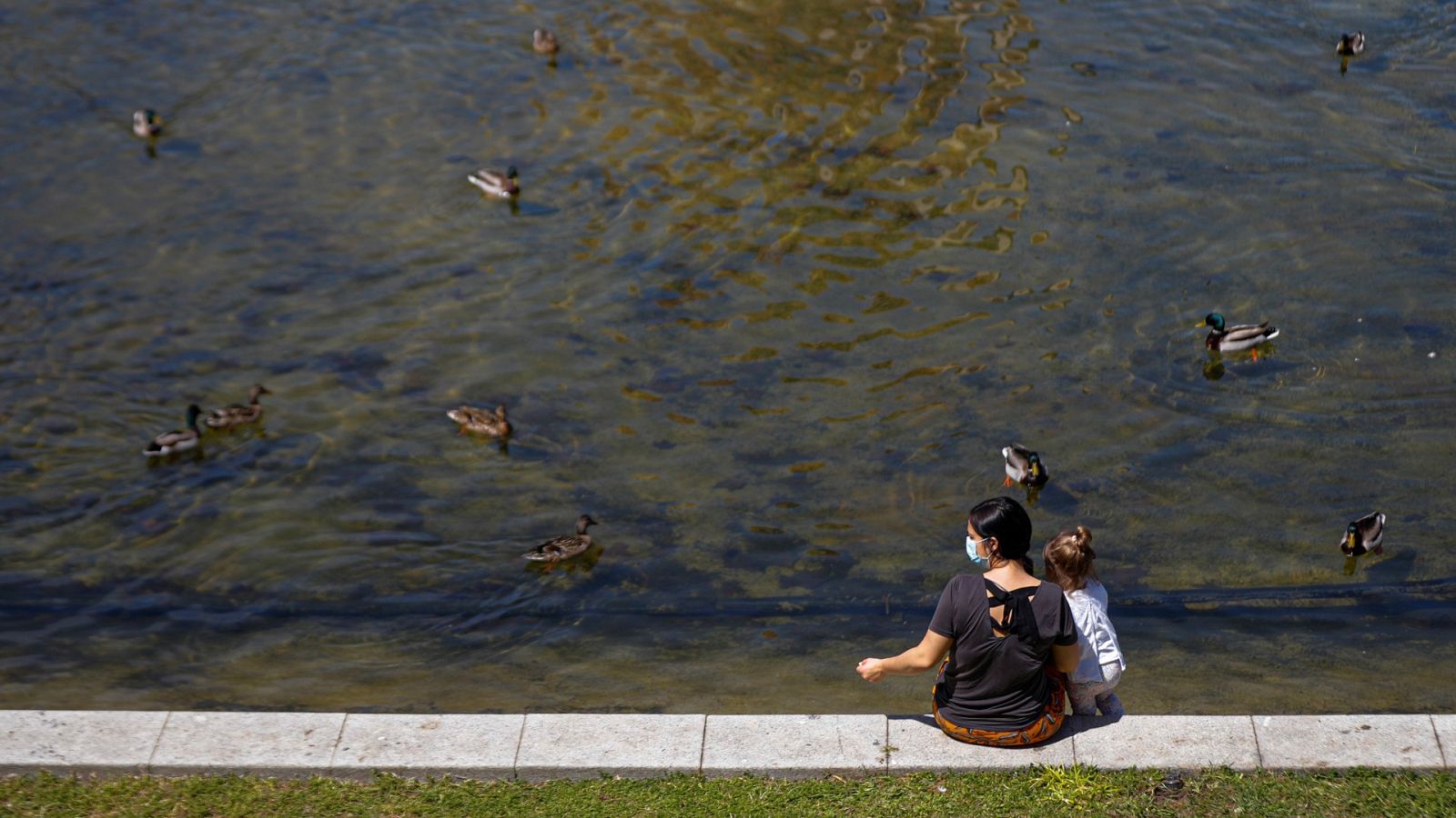 Más de 90 especies de aves han vuelto al Manzanares tras su renaturalización