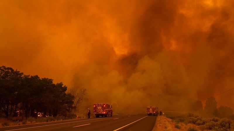 La exposición al humo de los incendios forestales aumenta el riesgo de parto prematuro