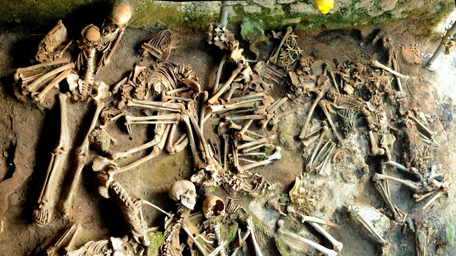 El análisis de las víctimas del Vesubio: dietas diferenciadas por sexo