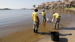 Reducir el regadío intensivo y recuperar los humedales: claves de la estrategia para salvar el Mar Menor