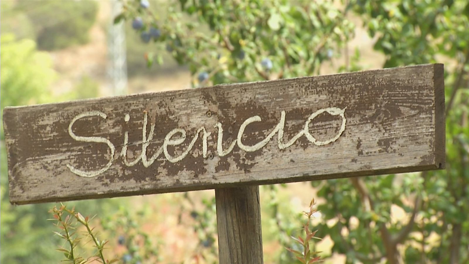 Monasterio de Santa María de Buenafuente del Sistal, Guadalajara