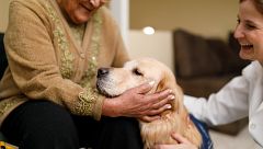 Terapia con animales ¿son efectivas?