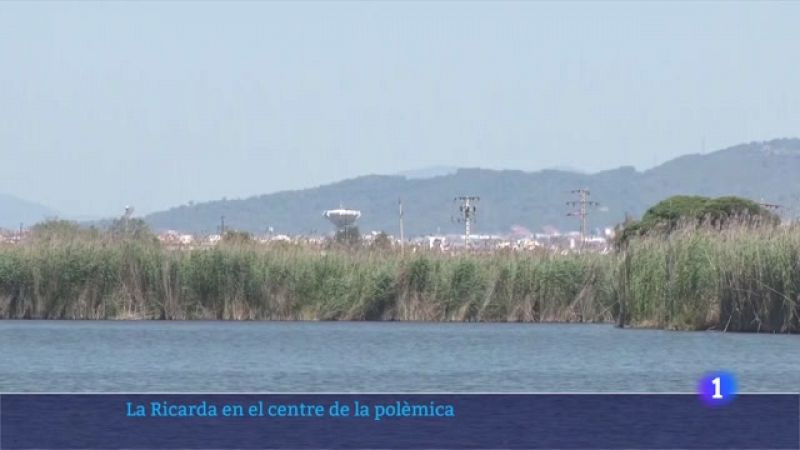 La Generalitat no avalarà cap proposta d'ampliació de l'aeroport del Prat que afecti la llacuna de la Ricarda