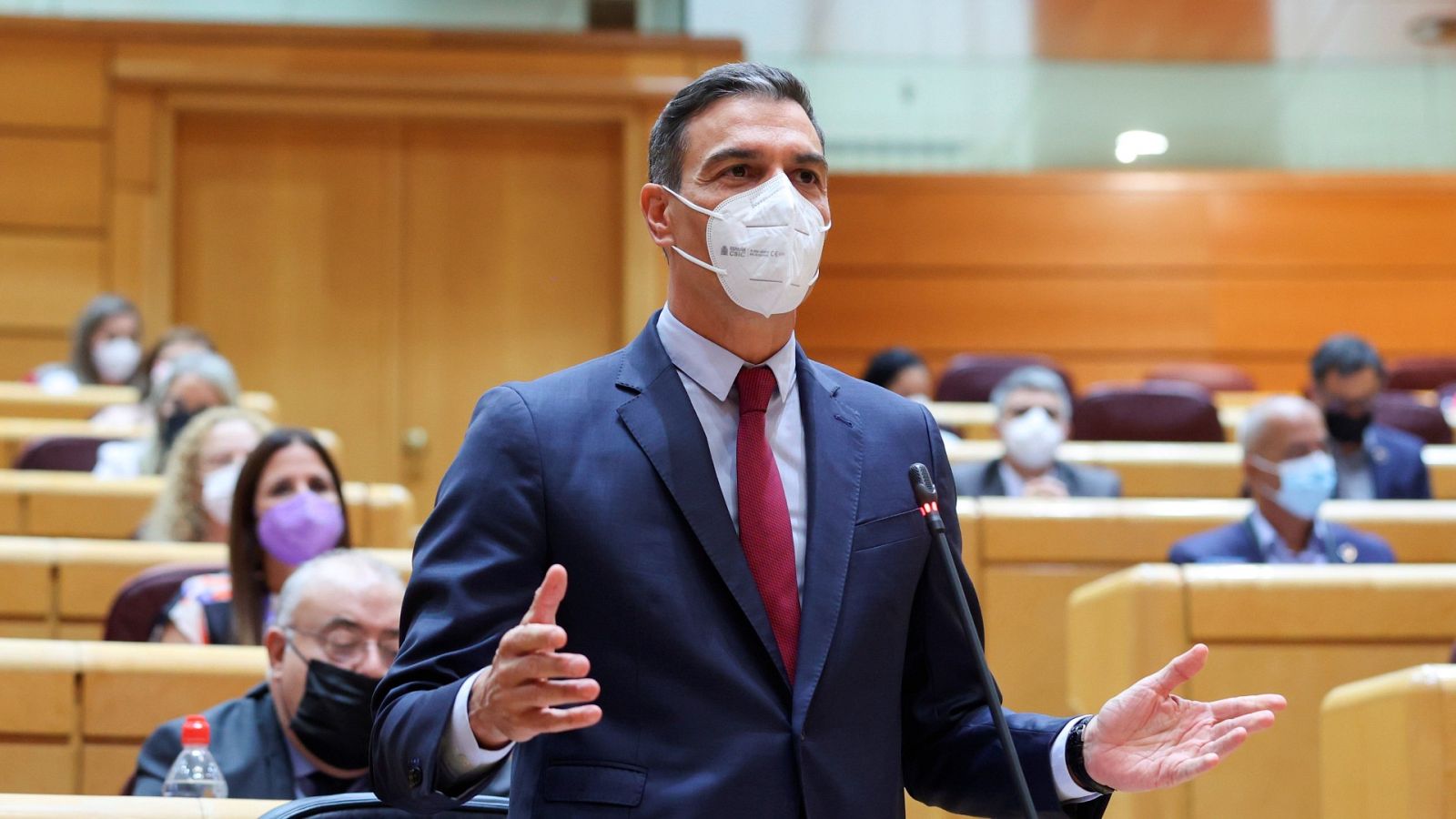 El presidente del Gobierno, Pedro Sánchez, este martes en el Senado