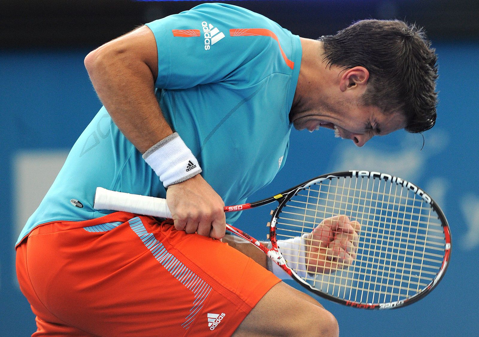 Verdasco celebra su victoria ante Serra, que le sitúa en semifinales del torneo de Brisbane.