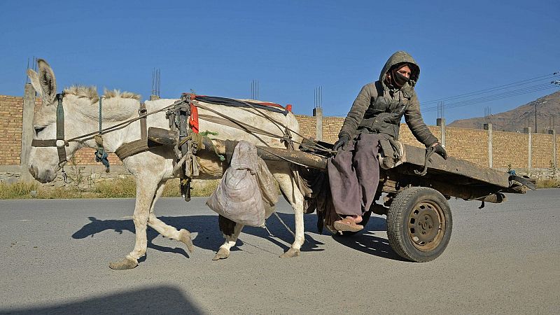 Revender lo poco que se tiene para sobrevivir en el Afganistán de los talibanes: "Estamos en modo supervivencia"