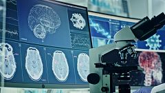Juan Lerma: "Entender cómo está hecho el cerebro es fundamental para entender una enfermedad y curarla"