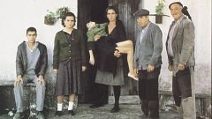 El cine literario de Mario Camus