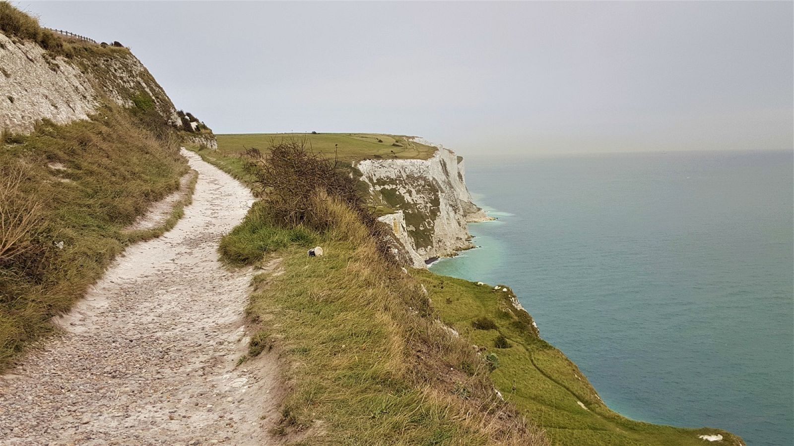 Sendero por los acantilados blancos de Dover