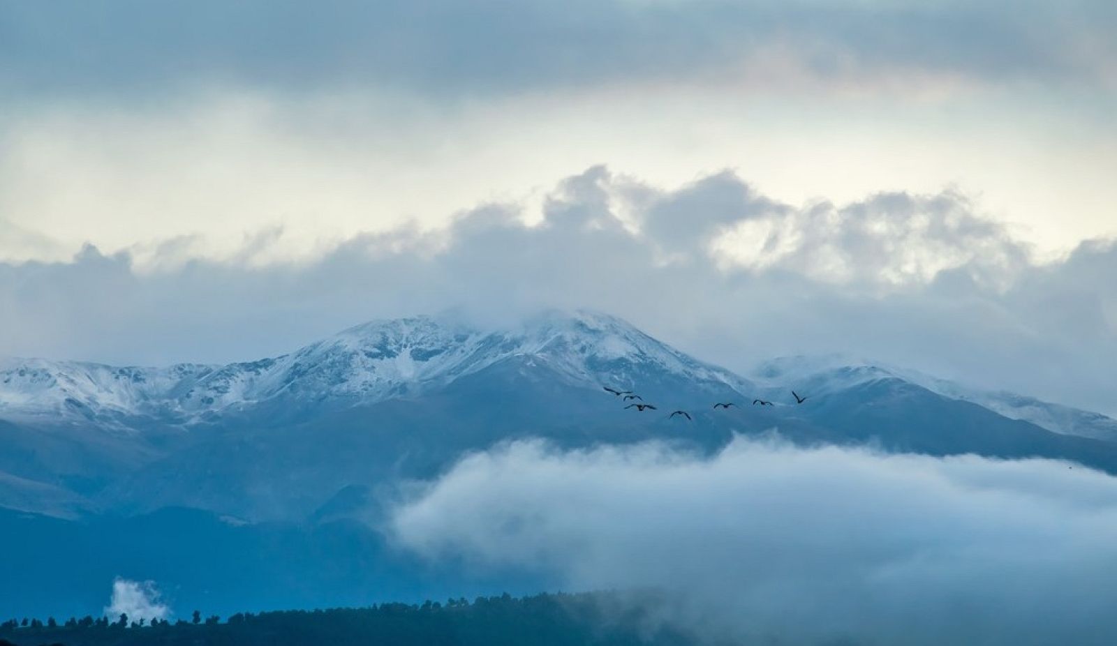 Imatge de la primera enfarinada de la temporada (Carme Molist, Manlleu)