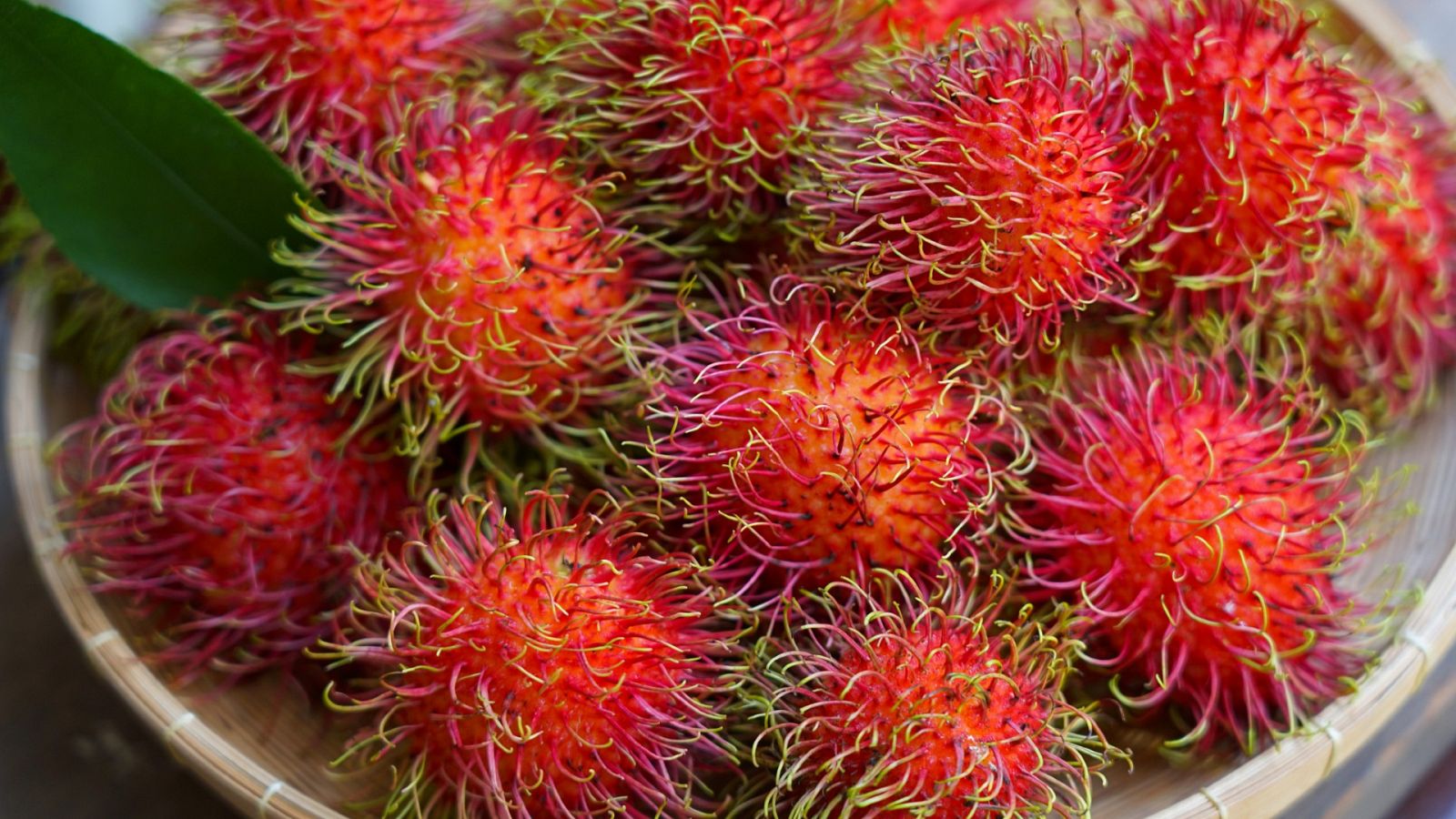 rambutan-3