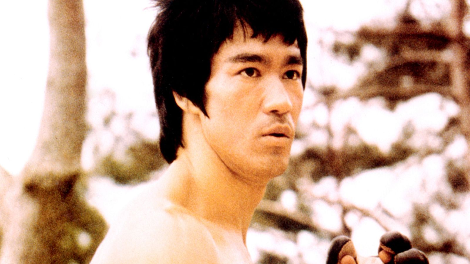 Triunfó en el cine cuando ya era una estrella de las artes marciales: Bruce Lee falleció a la temprada edad de 32 años