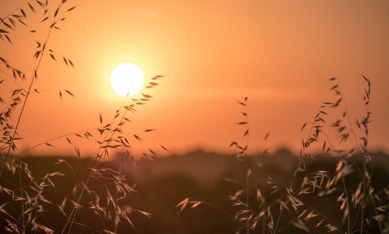 Sant Pere de Vilamajor, Jordi Roderada (2 de juliol de 2021)