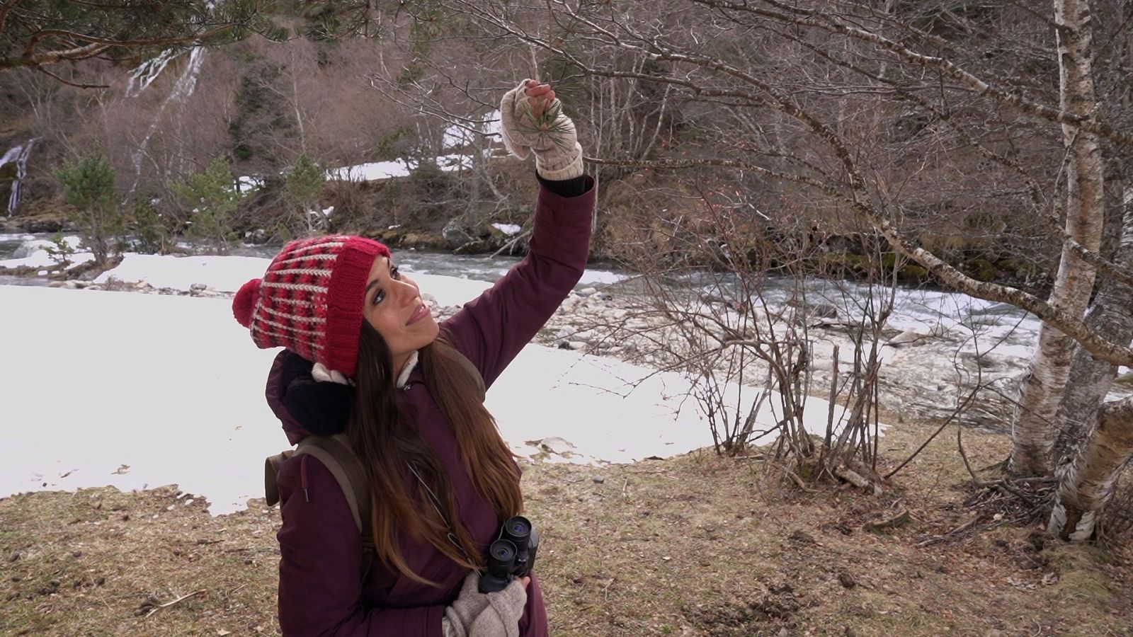 ctv-lav-aqu-animal-1