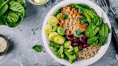Dieta Harvard, ¿qué es lo que debe llevar el plato perfecto?