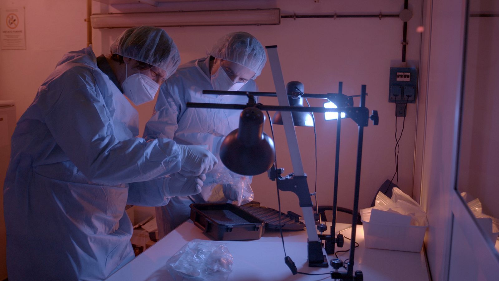 David Caramelli y José Antonio Lorente - ADN Colón