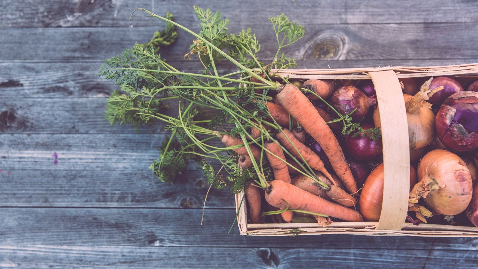 moda-gastronomia-sostenibilidad