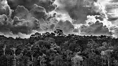 Sebastião Salgado, fotografía al servicio del planeta