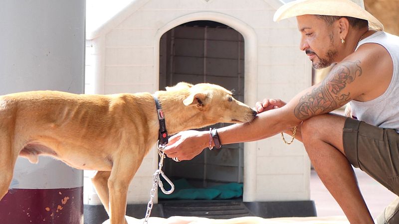 Realizan con éxito el primer simulacro para rescatar a los perros atrapados por la lava en La Palma