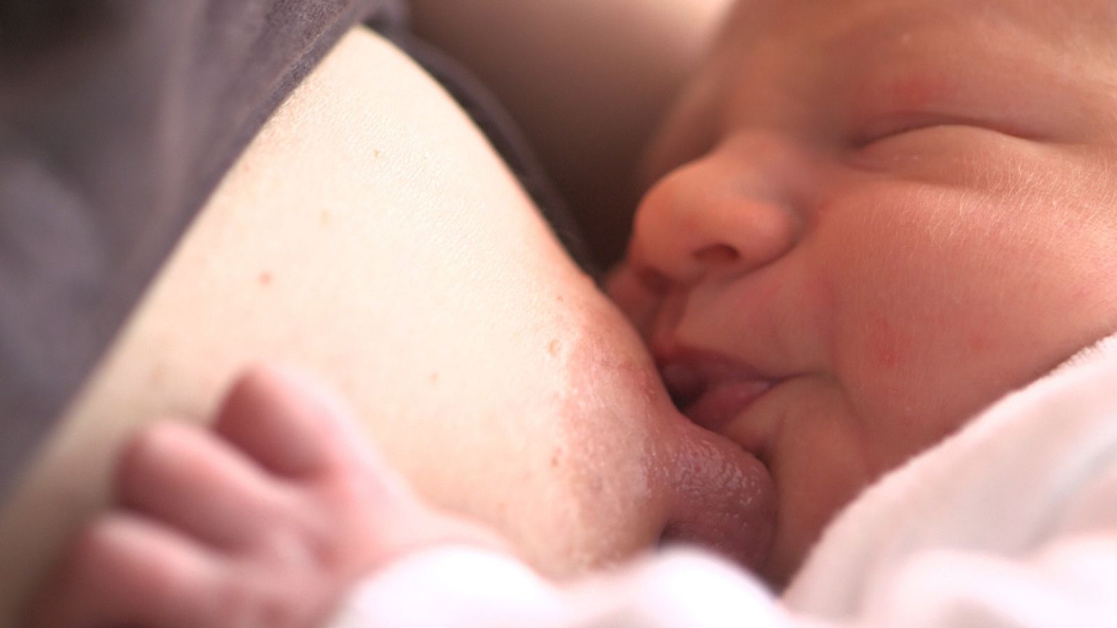 Lactancia en La Noche Temática