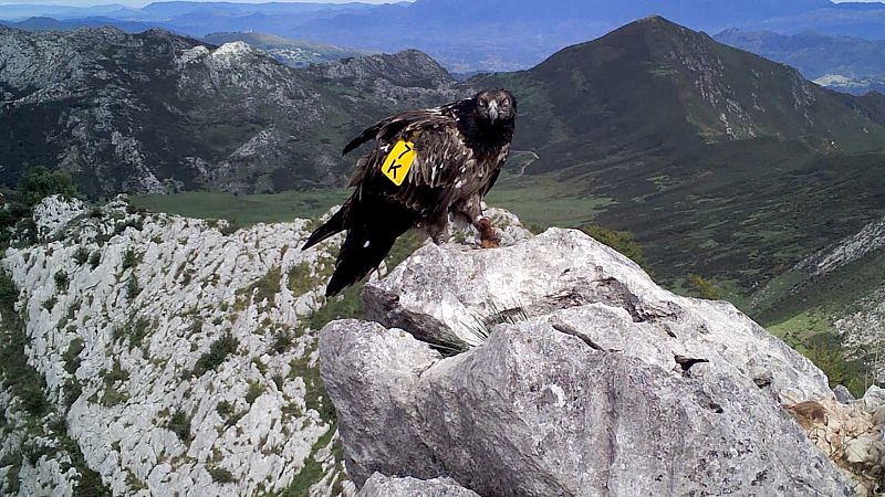 El Hierro: c�mo aprovechar el agua, el viento y la tierra para ser sostenibles y autosuficientes 