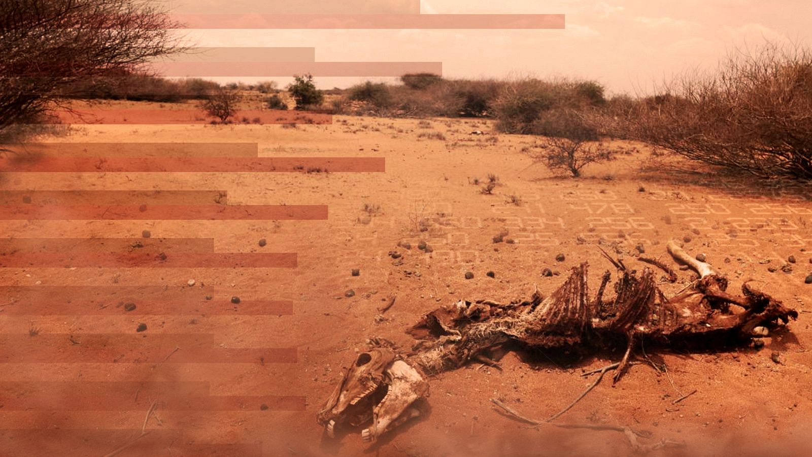 Cumbre del clima 2021: El calentamiento global ha modificado ya el clima en el planeta