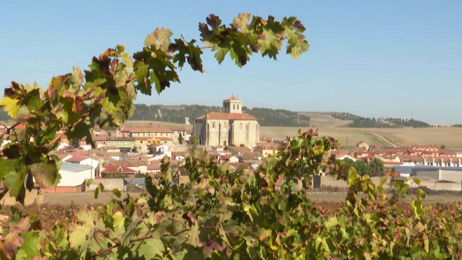 Vista general de Mucientes,